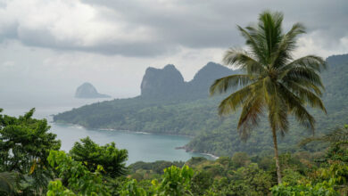 Panoramic view of the coastal mountains full of vegetation