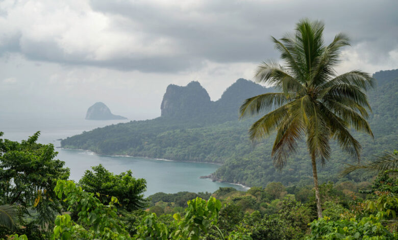 Panoramic view of the coastal mountains full of vegetation