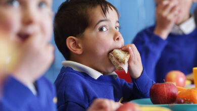 School boy eating sandwich