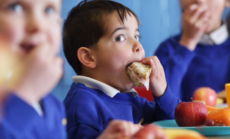 School boy eating sandwich