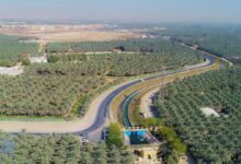 Saudi green initiative