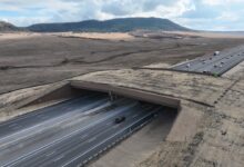 Greenland wildlife overpass in Douglas County, Colorado
