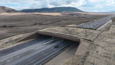 Greenland wildlife overpass in Douglas County, Colorado
