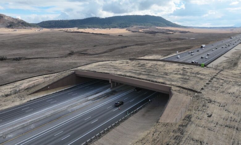 Greenland wildlife overpass in Douglas County, Colorado