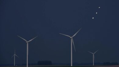 Windmills in Uruguay