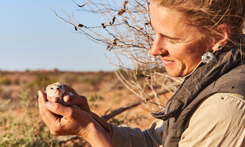 Dympna Cullen holds the first ampurta captured during field surveys in 2019.