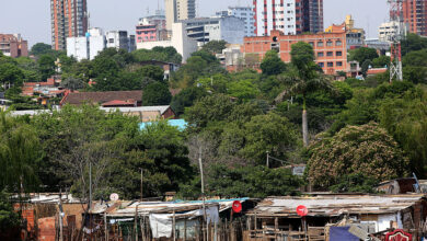 Daily Life In Asuncion