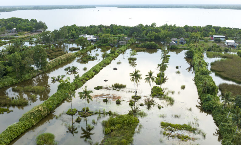 Wetlands in Ca Mau province