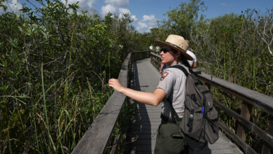 National Parks Make Do With Fewer Employees As Summer Season Approaches