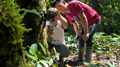 Paraecologists Olger Kitiar (left) and Jhostin Antún