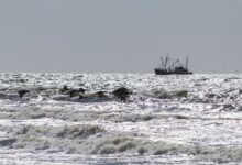 Fishing vessel on ocean