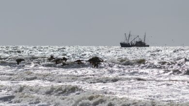 Fishing vessel on ocean
