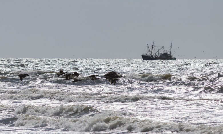 Fishing vessel on ocean