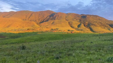 Angola’s highest mountain and its unique wildlife are now protected