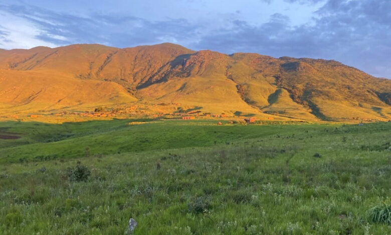 Angola’s highest mountain and its unique wildlife are now protected