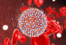 Destruction of hepatitis C virus, illustration