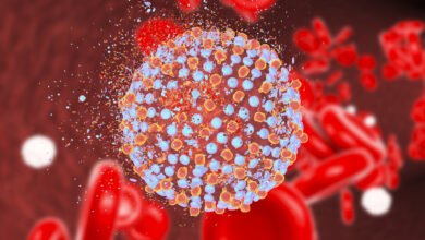 Destruction of hepatitis C virus, illustration