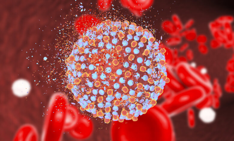 Destruction of hepatitis C virus, illustration