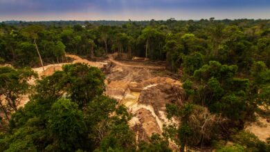gold mine pit in Brazilian Amazon