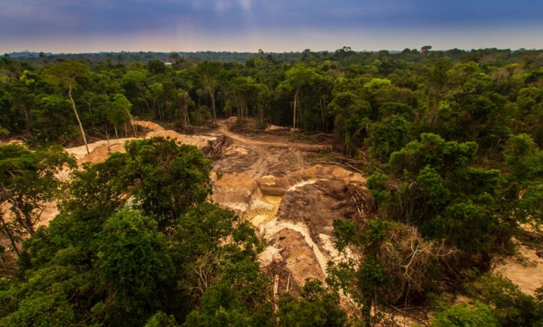 gold mine pit in Brazilian Amazon