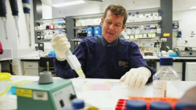 Scientist in lab
