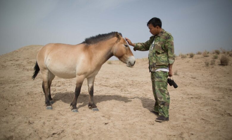 CHINA-RUSSIA-ENVIRONMENT-ANIMAL