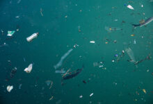 Plastic pollution in ocean problem.