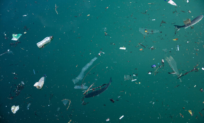 Plastic pollution in ocean problem.
