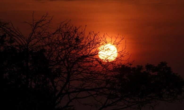 Akae Conservancy