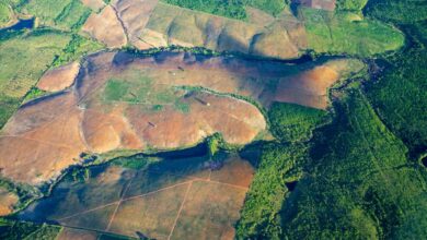 Cleared Amazon forest in Brazil