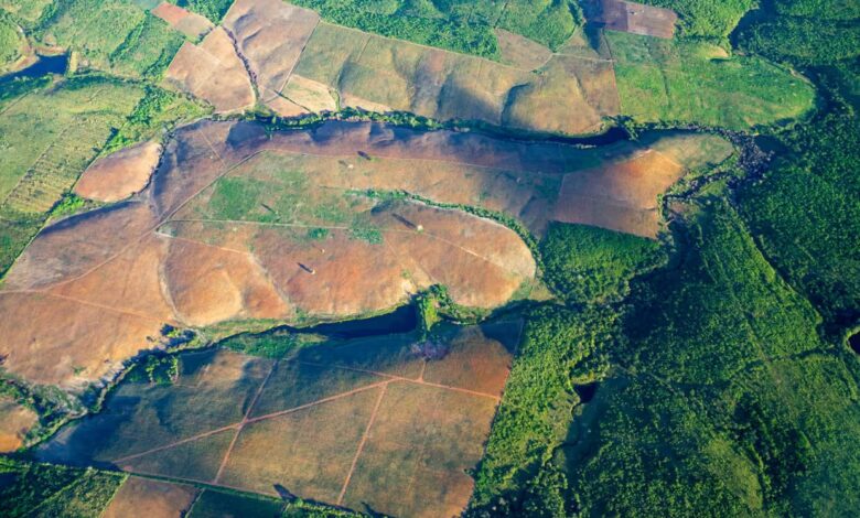 Cleared Amazon forest in Brazil