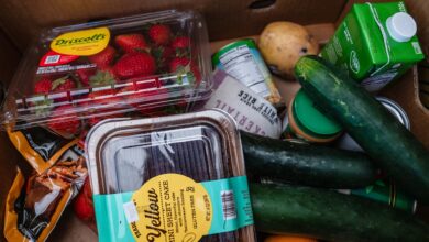 plastic container for food