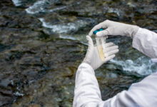 Researcher performing a visual check-up of water samples in a test tube