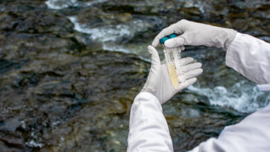 Researcher performing a visual check-up of water samples in a test tube