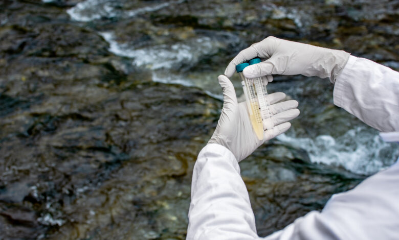Researcher performing a visual check-up of water samples in a test tube
