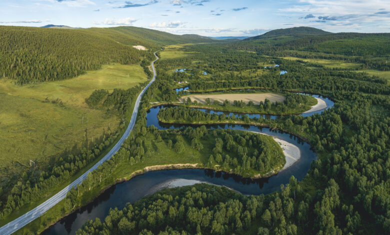 Beautiful forest and river summer landscape