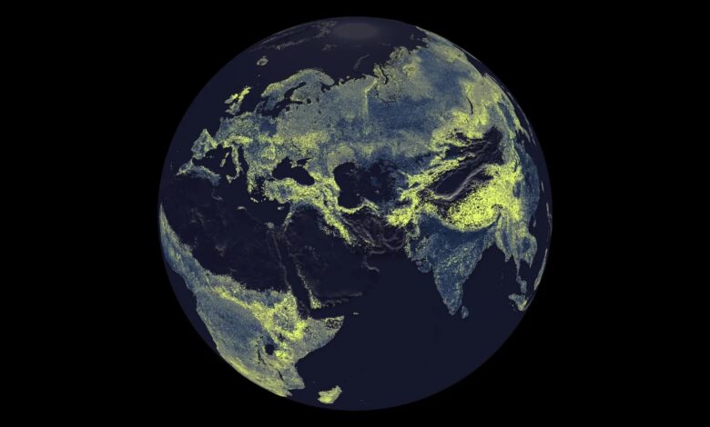 mycorrhizal-infrastructure-map