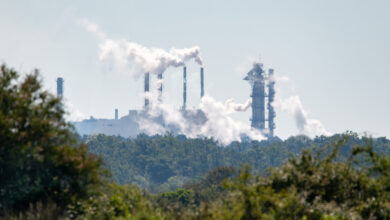Industrial Plant with Steam Emissions