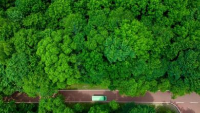 Shangganling stream forest park in Yichun, Northeast China's Heilongjiang province