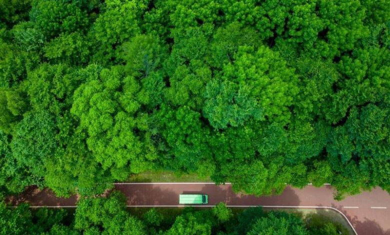 Shangganling stream forest park in Yichun, Northeast China's Heilongjiang province