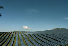Field with solar panels