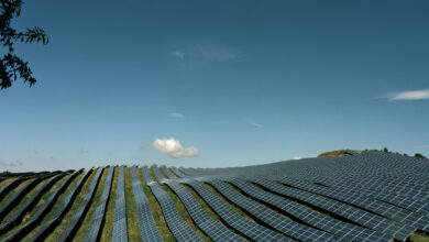 Field with solar panels