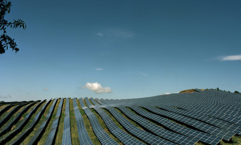 Field with solar panels