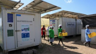 Solar cooling Kenya