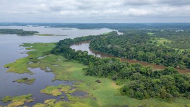 The Ogooué River