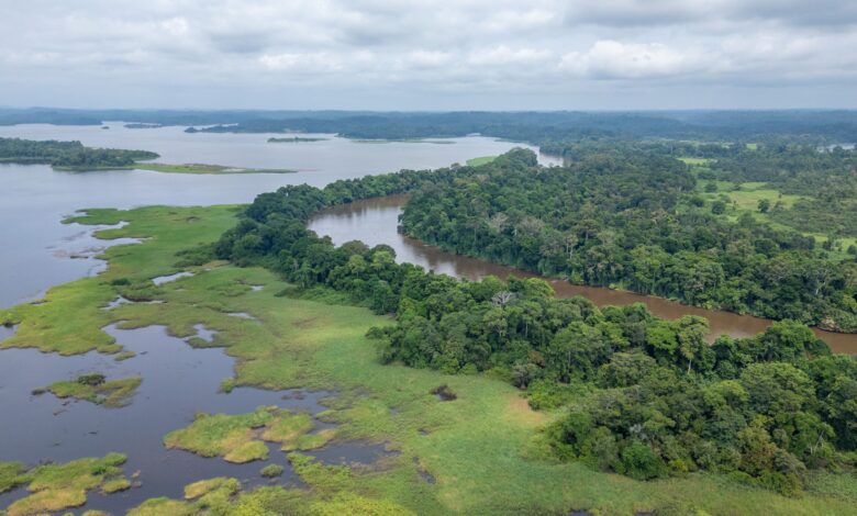The Ogooué River