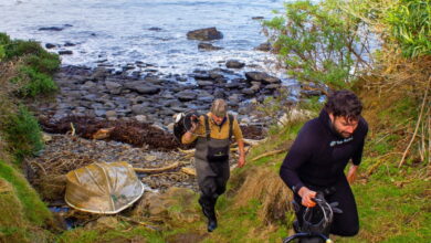 Members of the Kāi Tahu marine ranger team return from harvesting seaweed