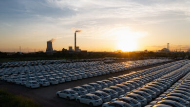 Tidy new cars in the parking lot at twilight