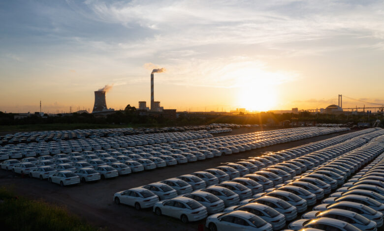 Tidy new cars in the parking lot at twilight