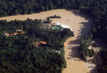 illegal gold mine Brazil